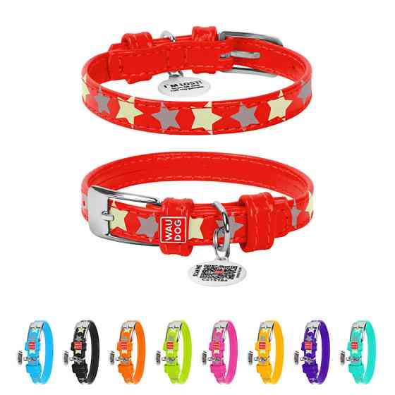 Нашийник для собак шкіряний WAUDOG Glamour з QR паспортом, візерунок "Зірочка", світлонакопичув Коломия