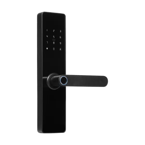 Замок біометричний автономний Trinix TRL-5101F Black L/R зі зчитувачем відбитків пальців і карт Mifare (65-00077) Київ