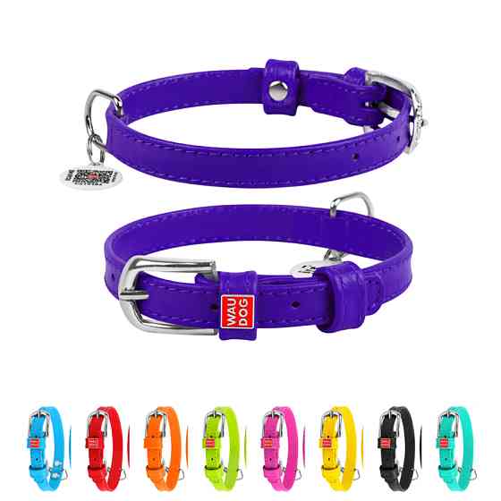 Нашийник для собак шкіряний WAUDOG Glamour з QR паспортом, без прикрас, S, Ш 15 мм, Дов 27-36 с Коломия