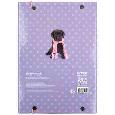 Папка для тетрадей Kite В5 на резинке Studio Pets, картон (SP23-210) Винница