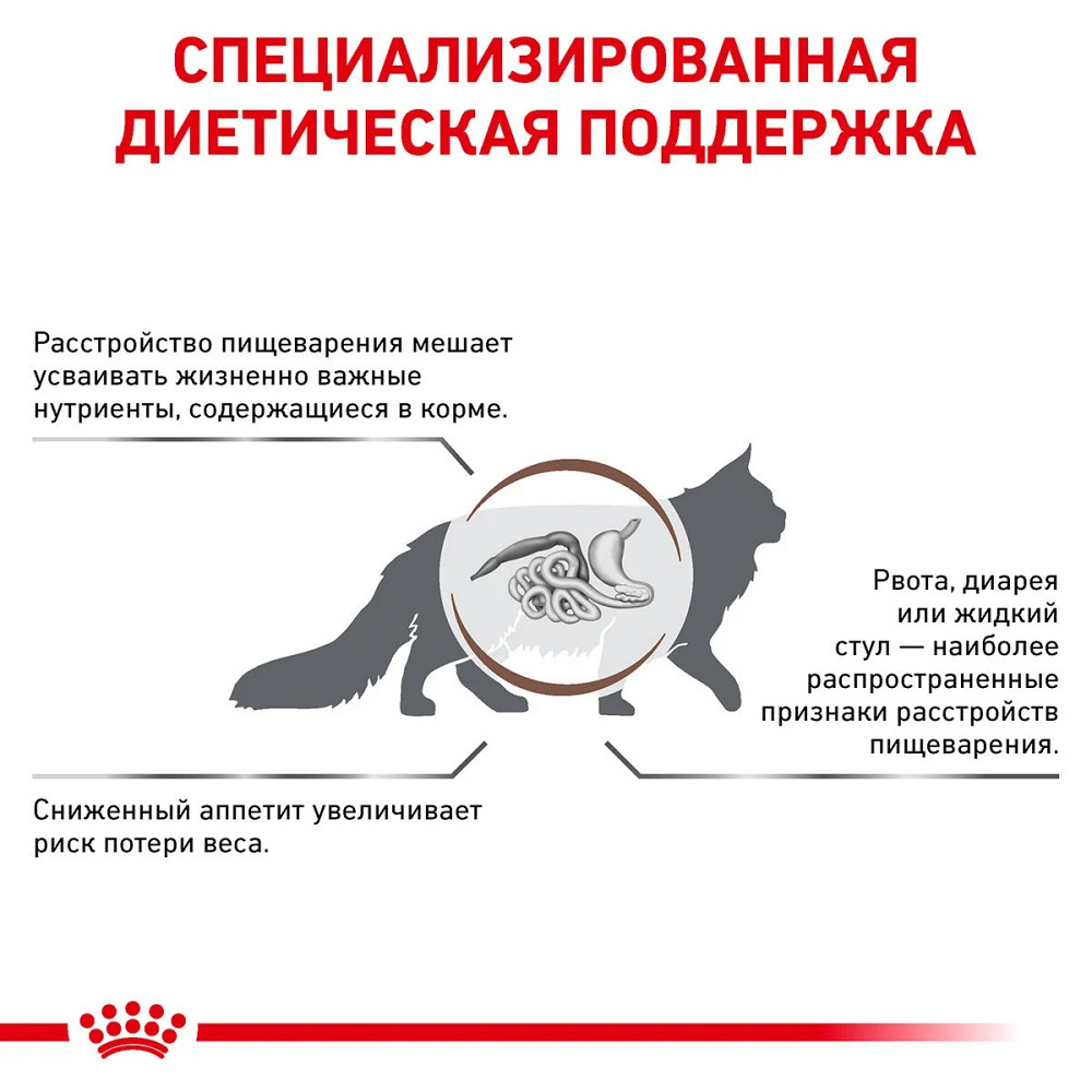 Royal Canin Gastrointestinal (Роял Канін Ґастрофінтансал) сухий корм для котів при розладах травлення 4 кг. Запоріжжя - фото 4