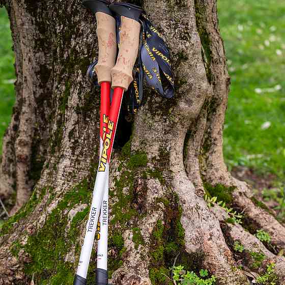 Палки трекинговые Vipole Trekker Cork (S25 09) Вінниця
