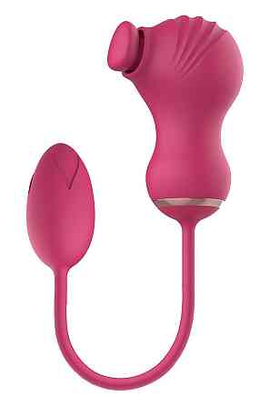 Гибкий двойной стимулятор и вибрационное яйцо Dream Toys Essentials, розовый Sex Aura Киев