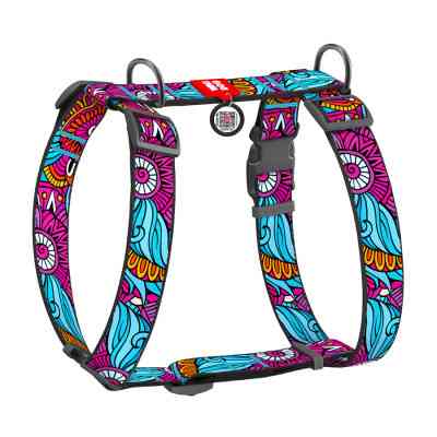 Шлей для собак WAUDOG Nylon анатомическая H-образная с QR-паспортом "Лето" пластиковый фастекс XL (323-0062) Винница