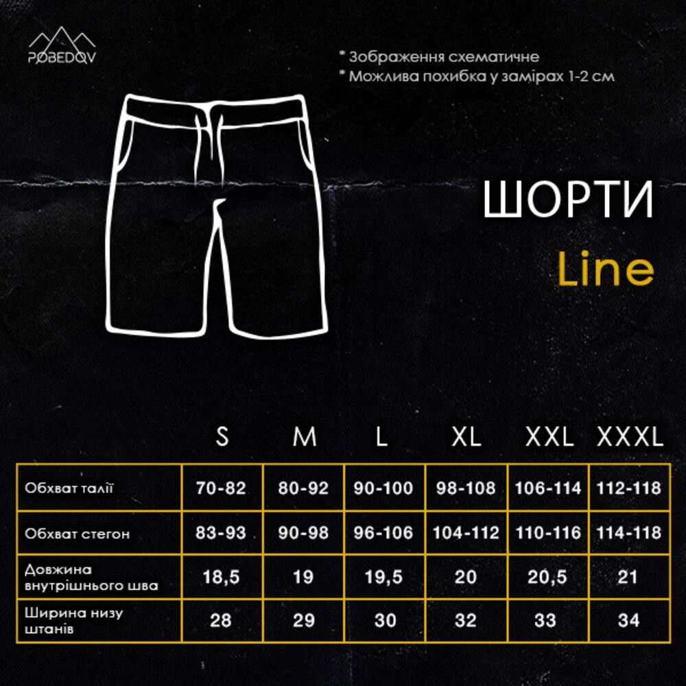 Легкие однотонные стальные мужские шорты Pobedov Line Киев - изображение 1