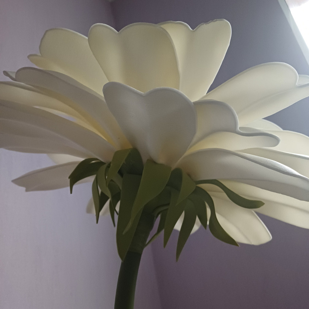 Мініторшер_Ромашка Дніпро - фото 8