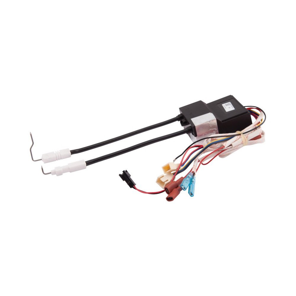 Блок розжига Thermo Alliance (30133800813001) Киев - изображение 1