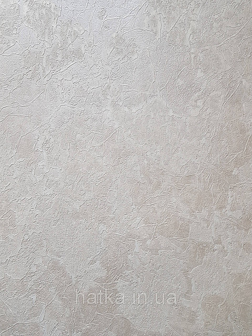Шпалери вініл на флізеліні гарячого тиснення DU&KA King1.06х10 під штукатурку глянсові текстурні світло-беж Київ - фото 3