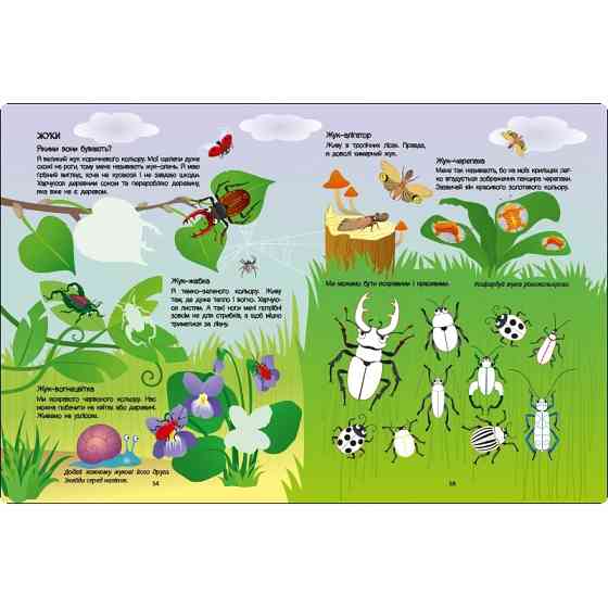 Развивающая тетрадь 