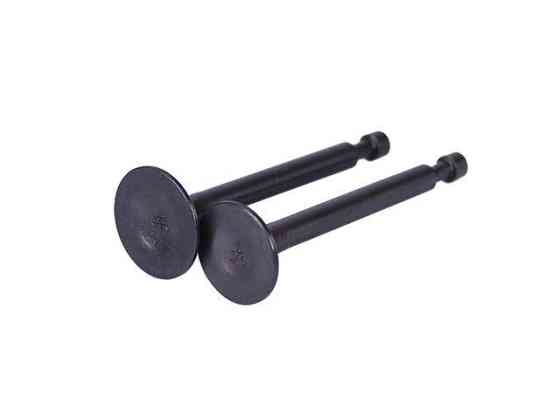 Клапаны, пара - P65F (ZS) Мукачево