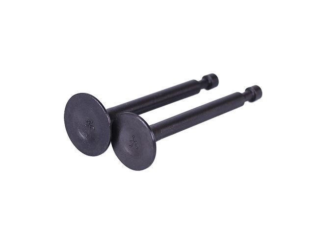 Клапаны, пара - P65F (ZS) Мукачево - изображение 1