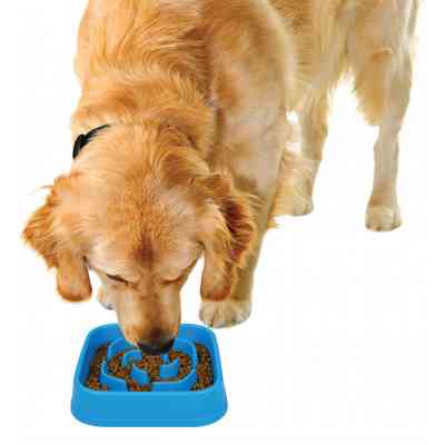 Посуд для собак Dexas Силіконова квадратна миска Slow Maze Feeder для повільного годування 1.44 л блакитна (0084297309749) Вінниця