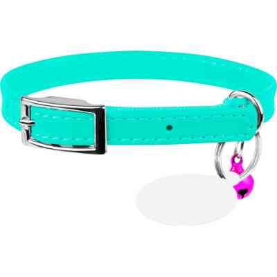 Ошейник для животных WAUDOG Glamour с QR паспортом Д 17-20 см ментоловый (327513) Винница