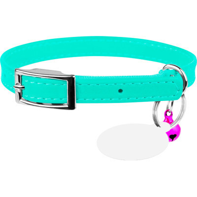 Нашийник для тварин WAUDOG Glamour з QR паспортом Д 17-20 см ментоловий (327513) Вінниця - фото 1