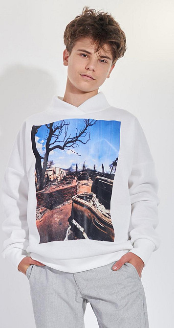 Свитшот с принтом (170 см) Киев - изображение 1