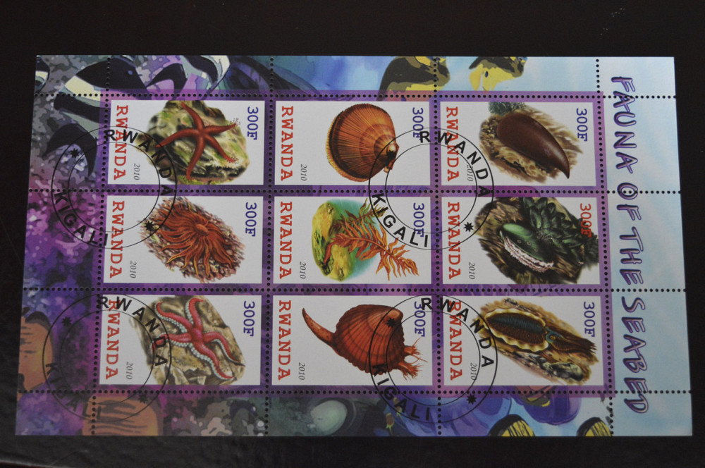 Руанда. Фауна. 2009 год Полтава - изображение 1