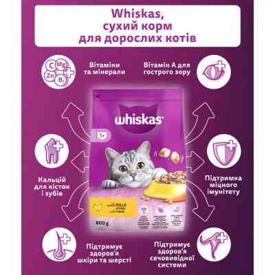 Сухий корм для кішок Whiskas з куркою 800 г (5998749144367) Вінниця