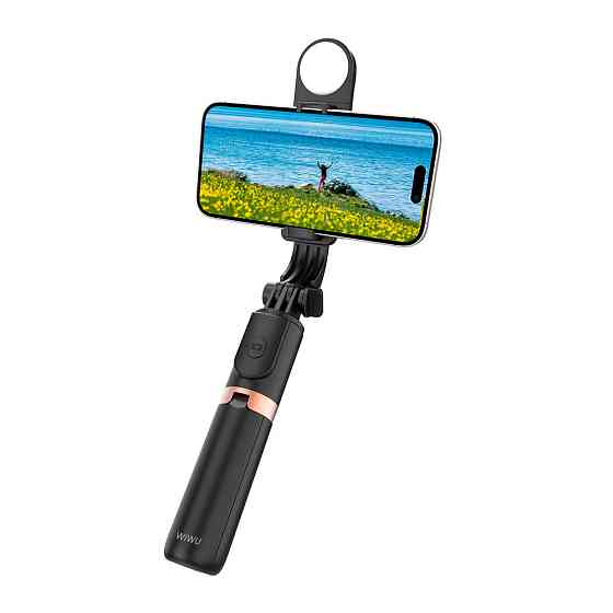Селфи-трипод WIWU Mini Selfie Stick Wi-SE011 (with filled lights) Black Одесса