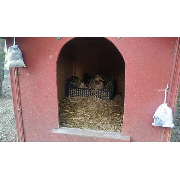 Отпугиватель куниц KUNAGONE Днепр - изображение 7