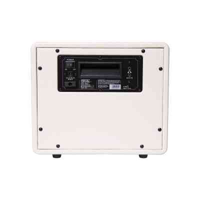 Комбоусилитель Mooer Hornet White Винница