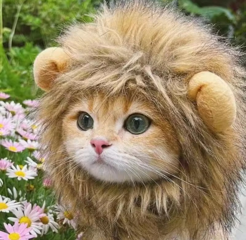 Шапочка для домашніх тварин Лев S коричневий Київ - фото 4