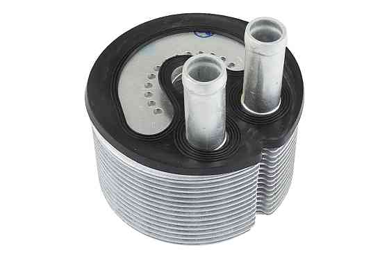 Теплообмінник Renault 2,2 DCi 2,5 DCi >06 (8200969622) GP8200969622 Київ