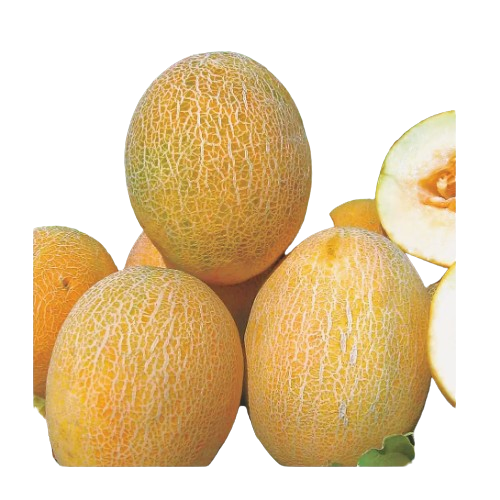 Диня Амалік F1 8шт Професійне насіння Житомир - фото 2