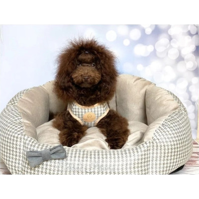 Шлея для собак Chloe's Home Berlin екрю XS (CLH7273) Вінниця - фото 3