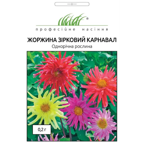 Жоржина Зірковий карнавал суміш голчаста 0,2гр Професійне насіння Житомир - фото 1