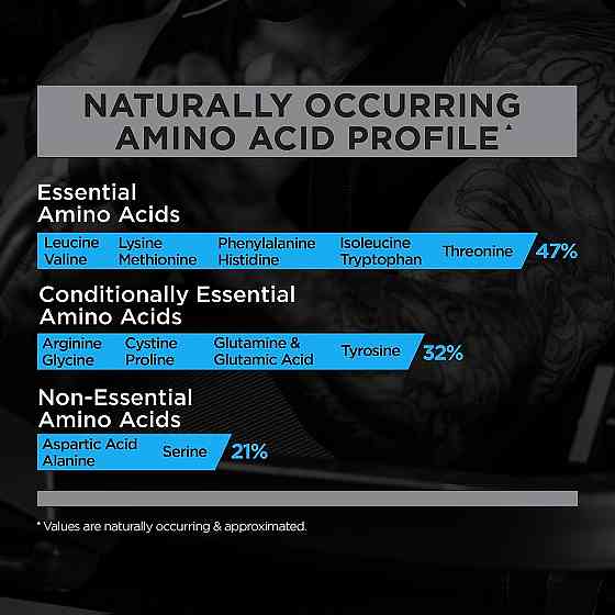 Whey Blend 908 gram ( Chocolate Fudge ) Луцьк