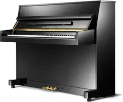 Піаніно (синтезатор) Pearl River Prime 109 EU akustyczne Київ - фото 1