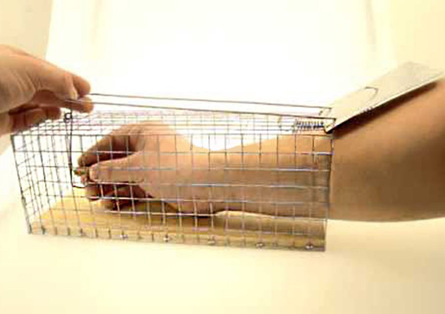 Крысоловки-клетки Chomik, 2 шт Днепр - изображение 3