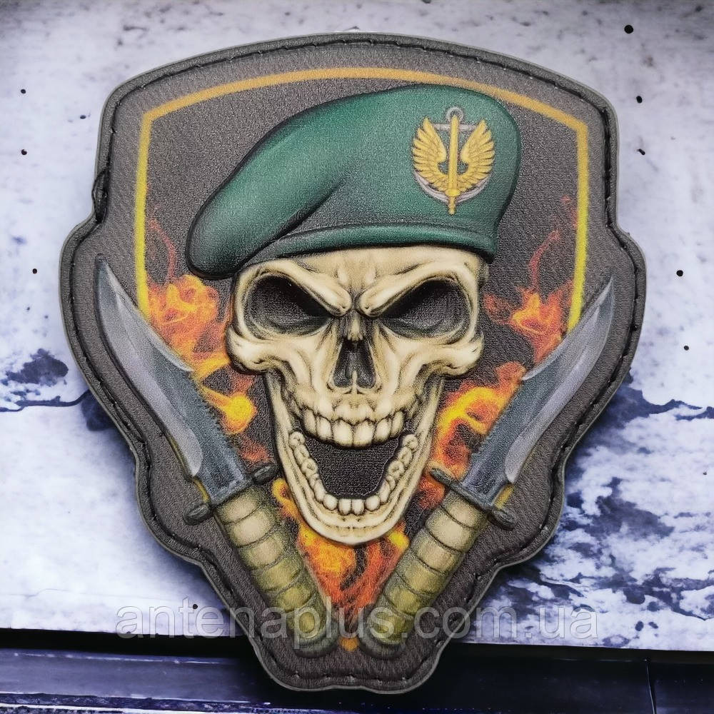 Череп беретний знак Морська піхота об'ємний шеврон / патч Київ - фото 1