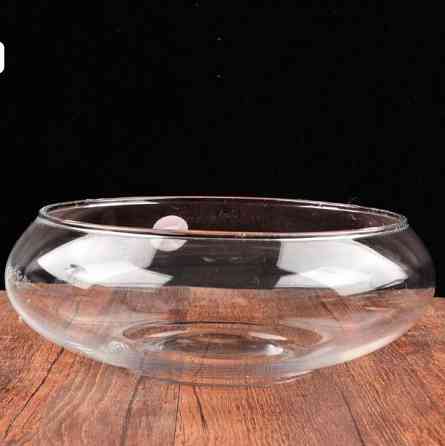 Ємність для флораріуму діаметр 15 см Чаша для флораріуму, мосаріуму, квіткових композицій 200 Одеса