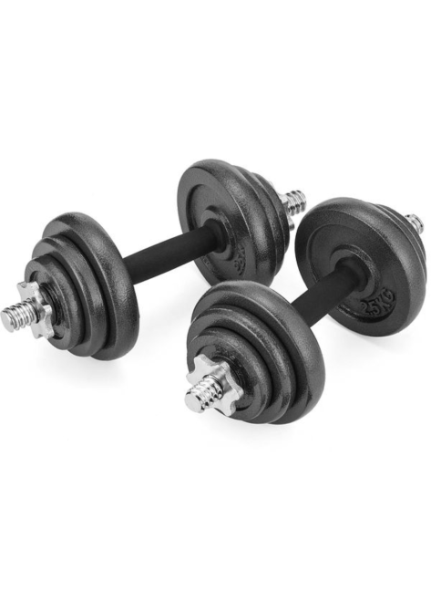 Набір гантелі в кейсі Gymtek чавунні 2х10кг Киев - изображение 4