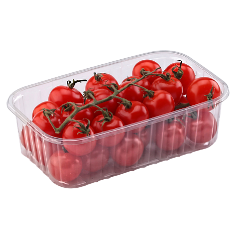 Харчові упаковки (лотки) поліпропіленова на 0,5 кг (190х115х55) 50 шт. Харків - фото 1