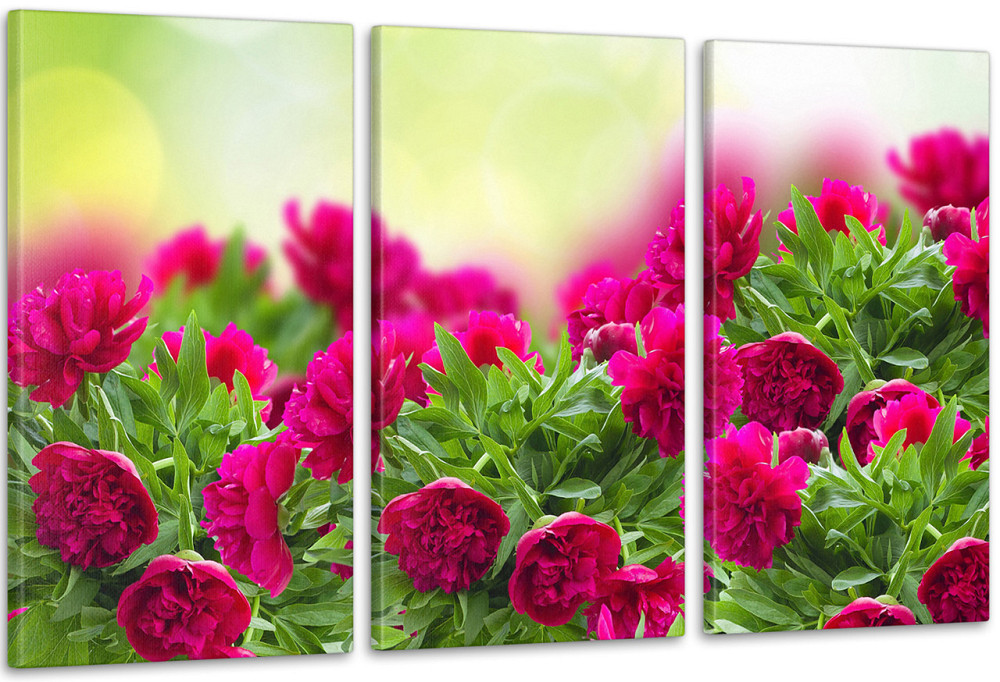 Модульная картина Пионы Аrt-236_3А 70x130 см Киев - изображение 1