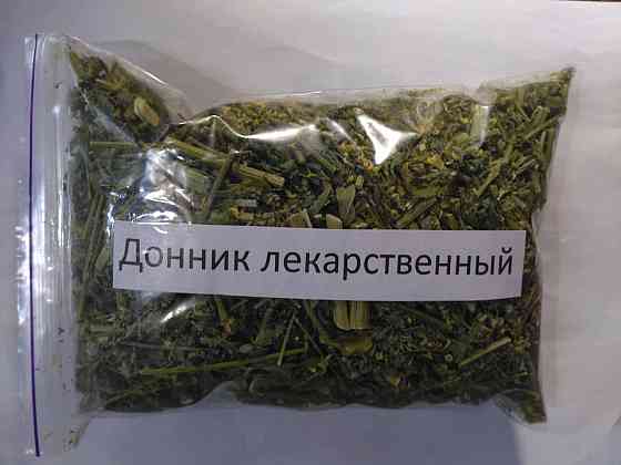 Буркун лікарський (Донник лекарственный) 100г master sem Киев