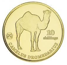 Биафра 10 шиллингов 2021 UNC Верблюд Полтава - изображение 1