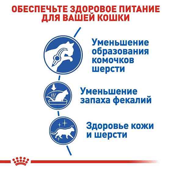 Royal Canin Indoor Long Hair (Рояв Канін Індор Лонгхайр) сухий корм для довгошерстих кішок від 12 місяців 2 кг. Запоріжжя