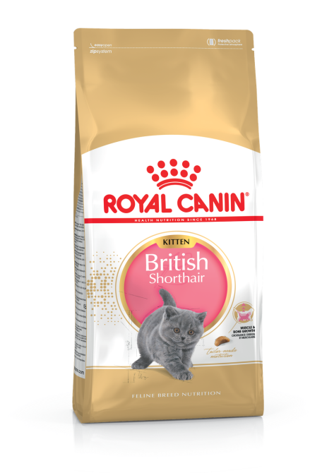 Корм для кошенят ROYAL CANIN KITTEN BRITISH SHORTHAIR 10.0 кг Київ - фото 1