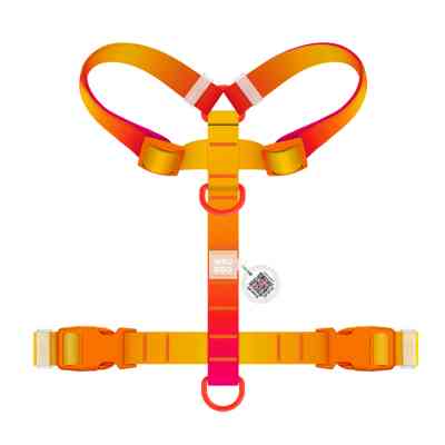 Шлей для собак WAUDOG Nylon Recycled анатомическая H-образная с QR-паспортом, пластиковый фастекс, L оранжевая (47534) Винница