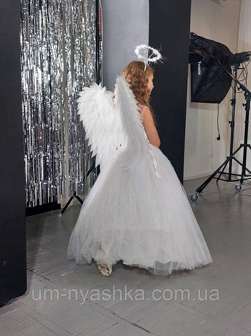 Крылья Ангела большие сердцем Кривой Рог - изображение 5