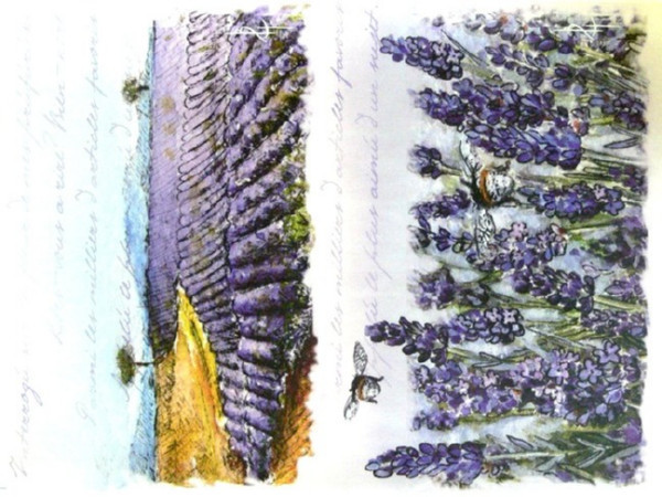 Папір для декупажу "Квітуча долина" 21*29,7см 45г/м2 69300862, шт Київ - фото 1