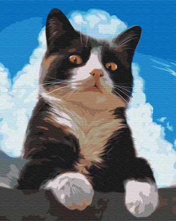 Цікавий котик Київ