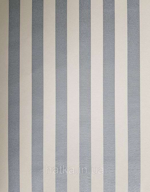 Шпалери вінілові на флізеліні Rasch Trianon Xlll 0.53х10 класика структурні смуги блакитні зі сріблом білі Київ - фото 1