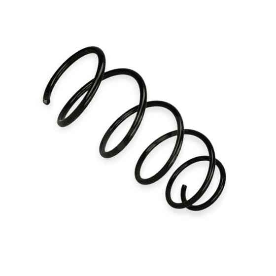 Пружина Fiat Punto 1.2 99- передняя Мукачево