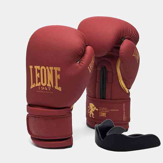 Боксерські рукавиці Leone GN059X BORDEAUX ED 10 унцій (капу в комплекті) Кам'янське
