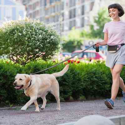 Повідець для собак Evolutor 300 см 25 мм чорний (42131) Вінниця