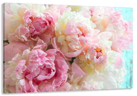 Картина холст в гостиную / спальню  Півонії    MLP_114 Киев